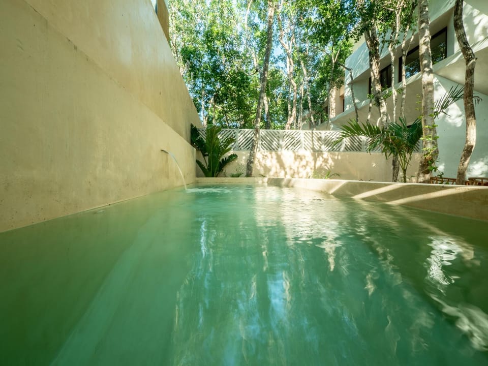 Garden, Pool view, Swimming pool