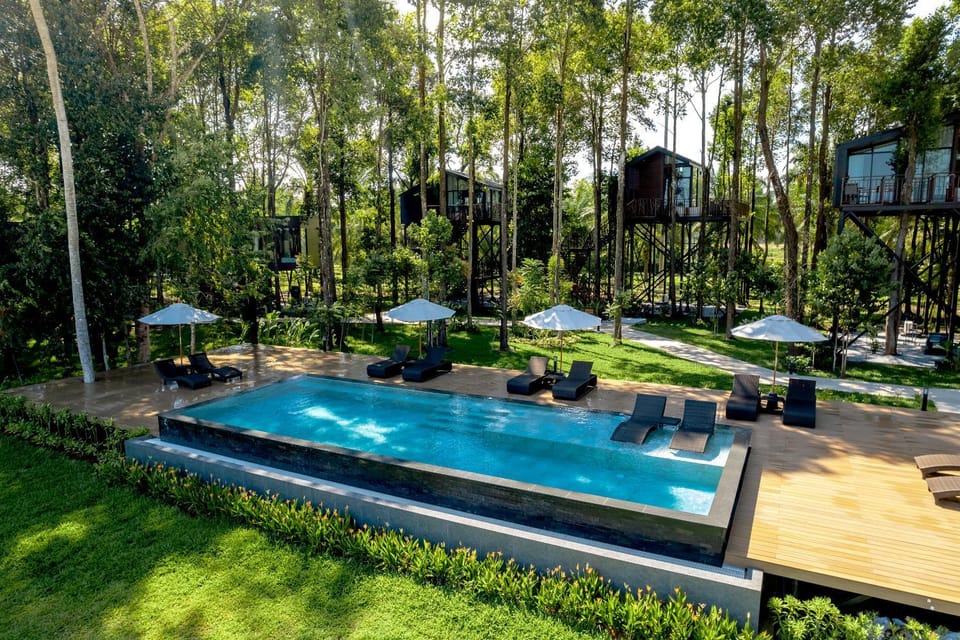 Day, Garden, Swimming pool