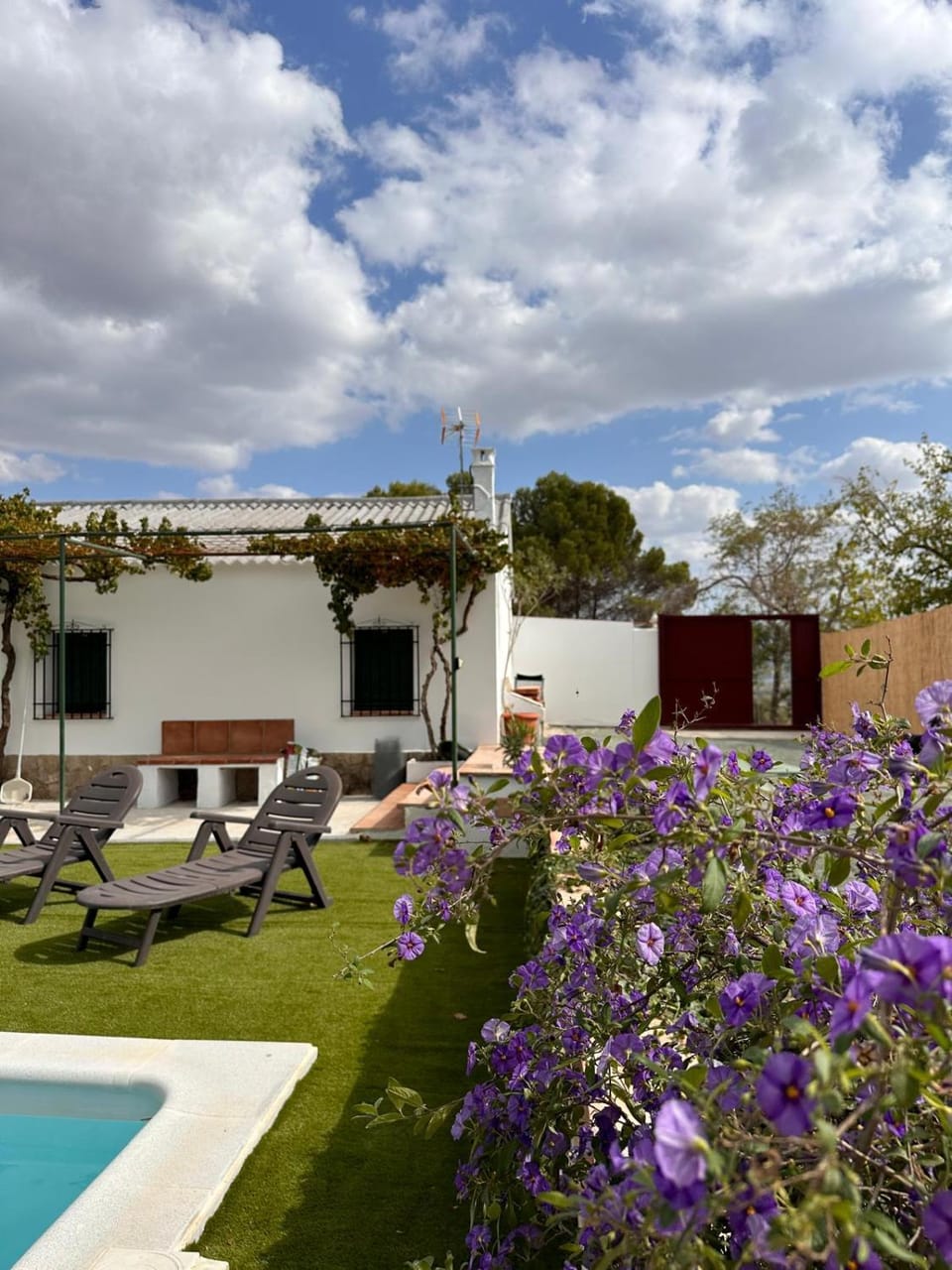 Garden view, Pool view