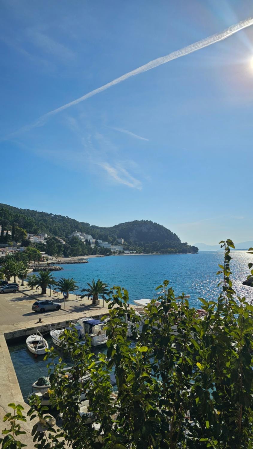 Sea view
