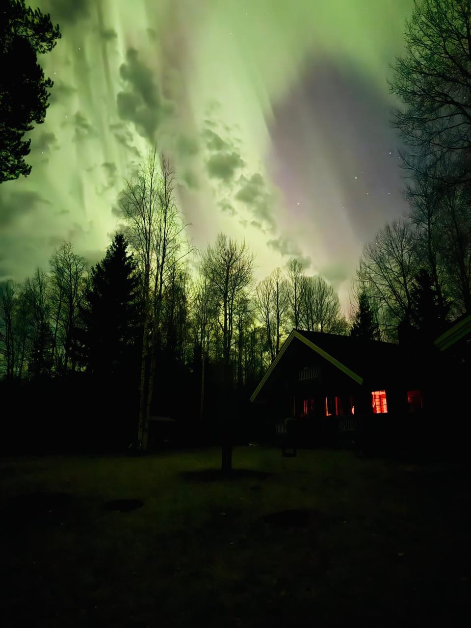LIHAPULLIA Lac, sauna, plage privée, deux chalets rien que pour vous House in Finland