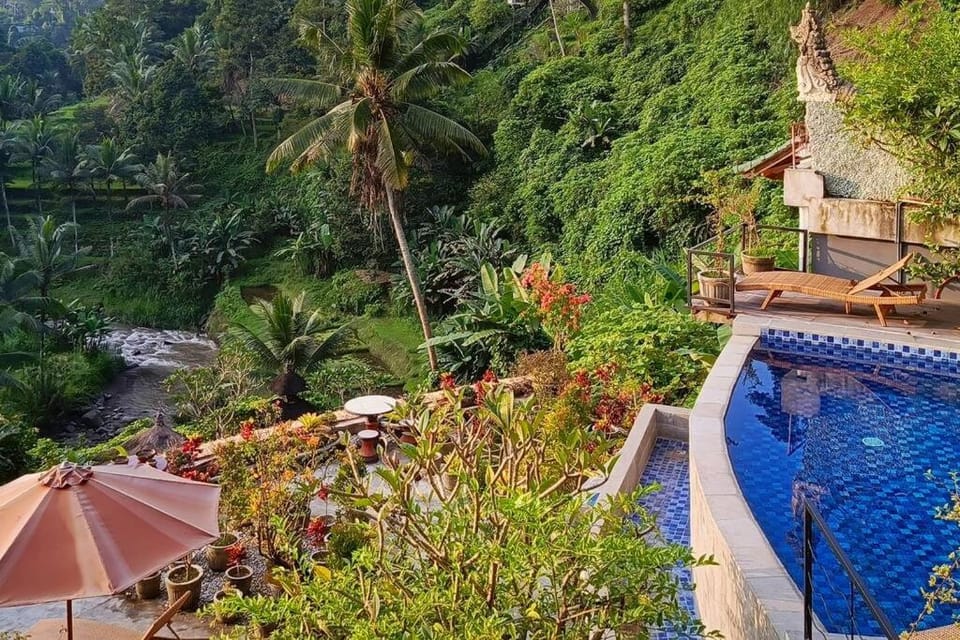 Day, Natural landscape, Garden, Garden, Pool view, Swimming pool, sunbed