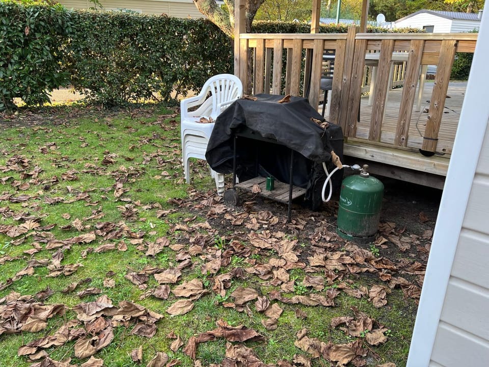 Day, BBQ facilities, Garden, Garden view