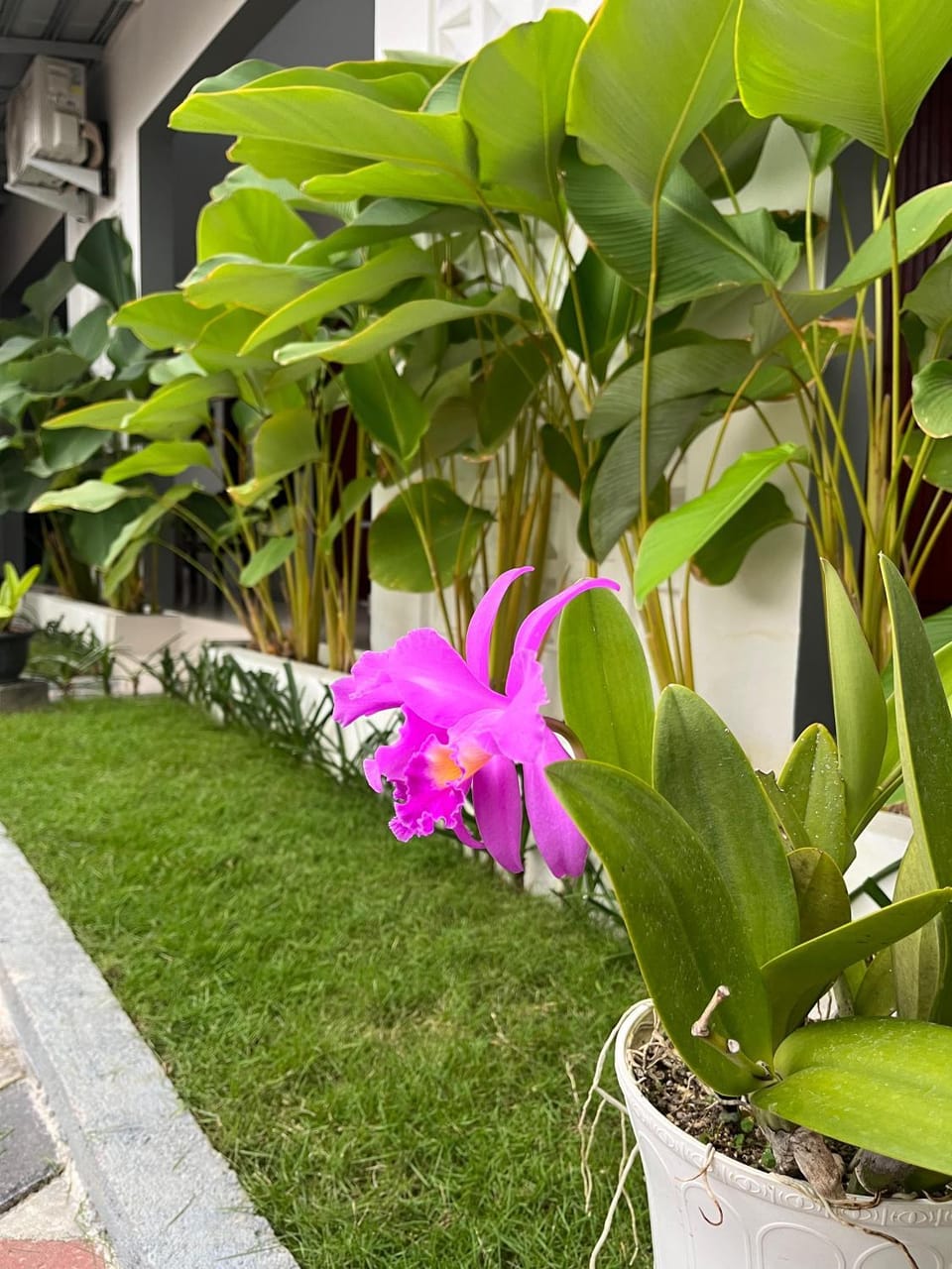 Eternal Rooms Bed and Breakfast in West Nusa Tenggara, Indonesia