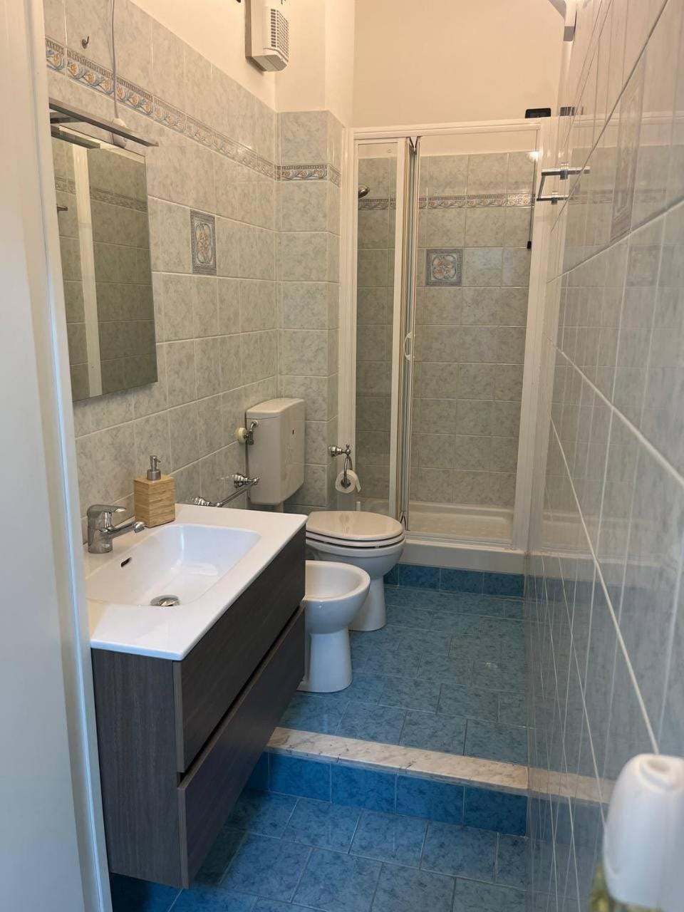 Shower, Toilet, Bathroom, bidet