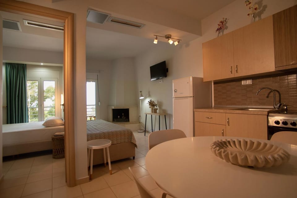 Bed, TV and multimedia, Kitchen or kitchenette, Living room, Photo of the whole room, Seating area, Dining area, Bedroom, oven, air conditioner