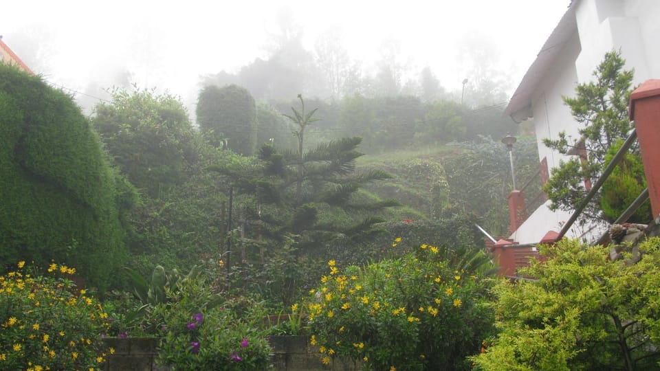 Natural landscape, Garden, Garden view