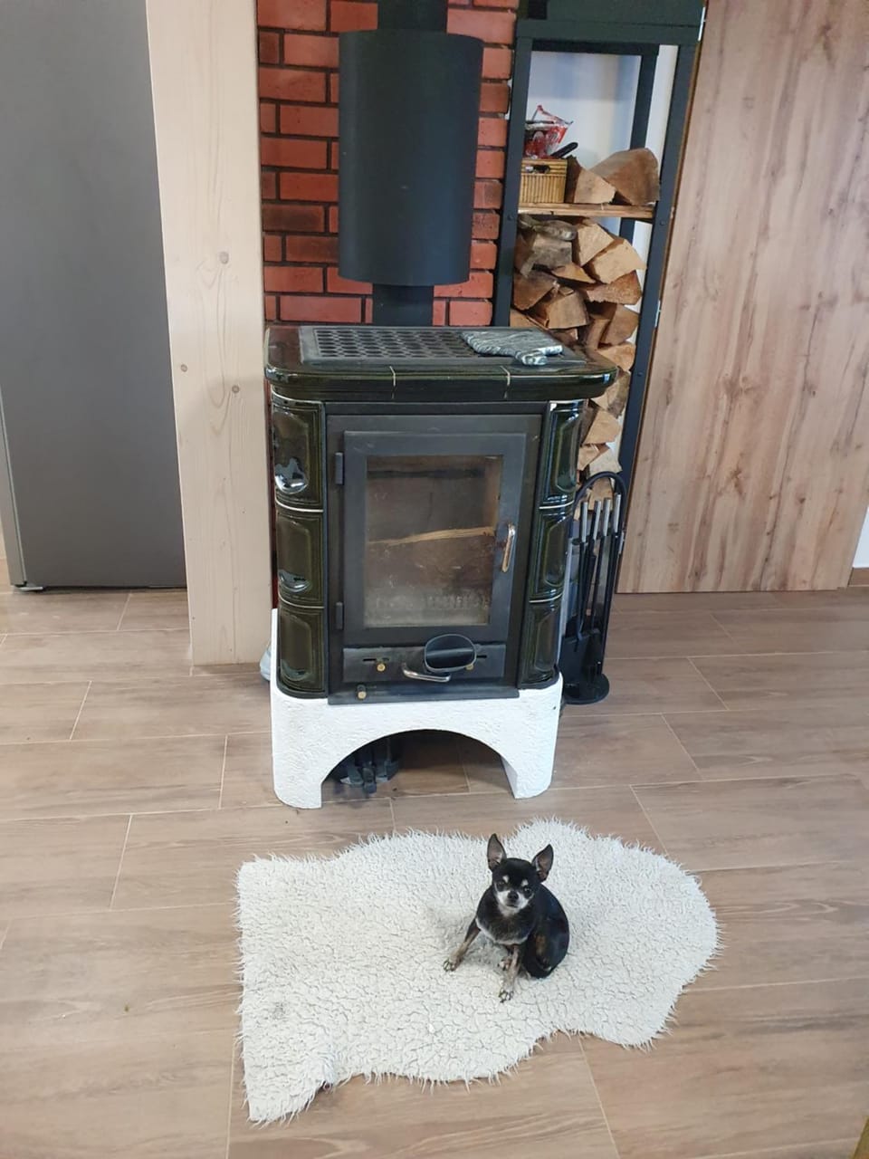 Property building, fireplace, pet friendly