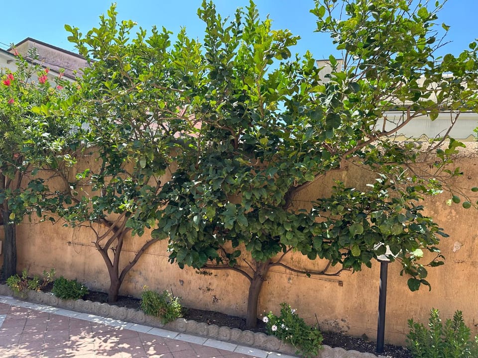 Casachiara Apartment in Viareggio