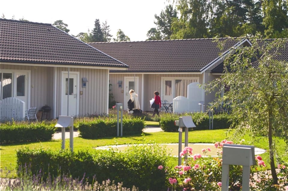 Property building, Day, Garden