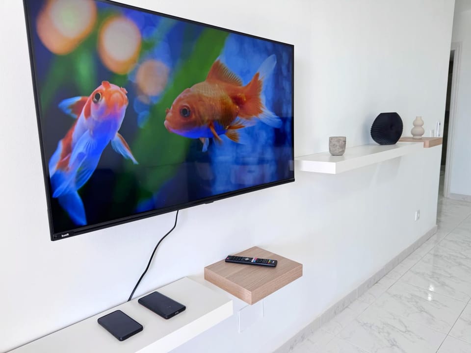 TV and multimedia