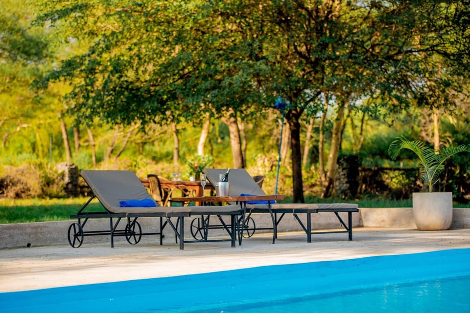 Spring, Pool view, Swimming pool, sunbed