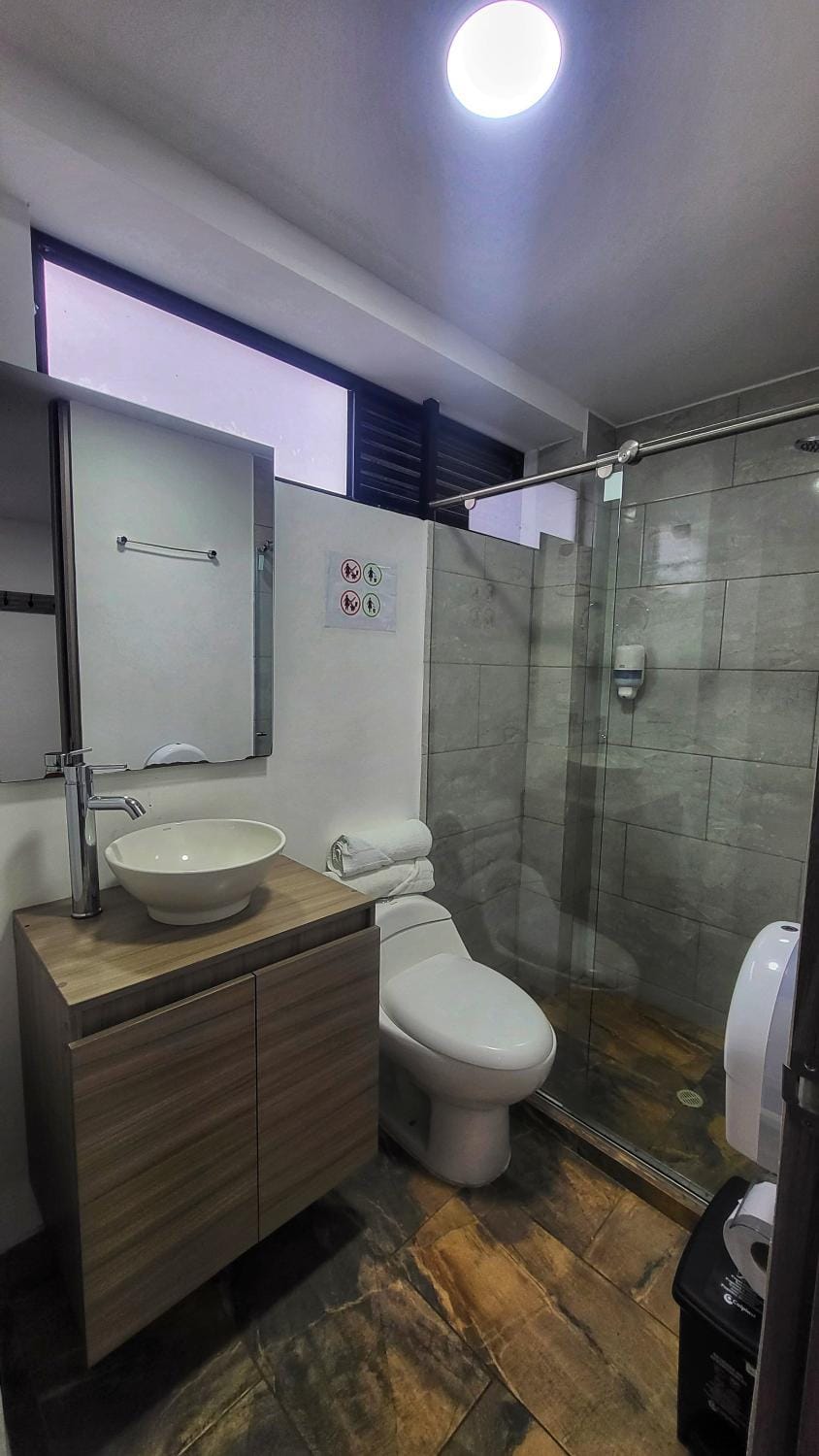 Shower, Toilet, Bathroom, towels