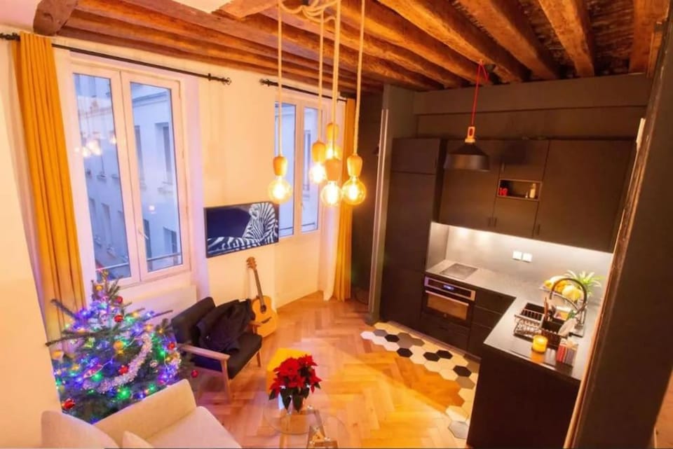 Bel Appartement Parisien, TYPIQUE DU MARAIS Apartment in Paris
