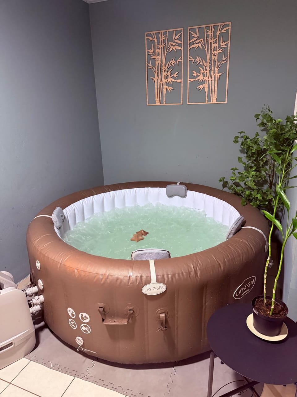 La Canopé - T2 calme et central avec son jacuzzi Apartment in Arrondissement of Cayenne, French Guiana
