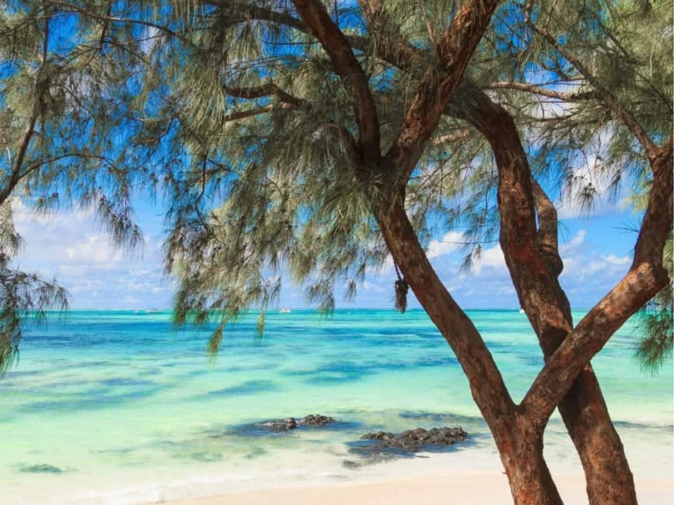 Nearby landmark, Beach