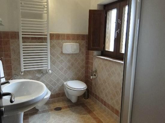 Shower, Toilet, Bathroom, bidet