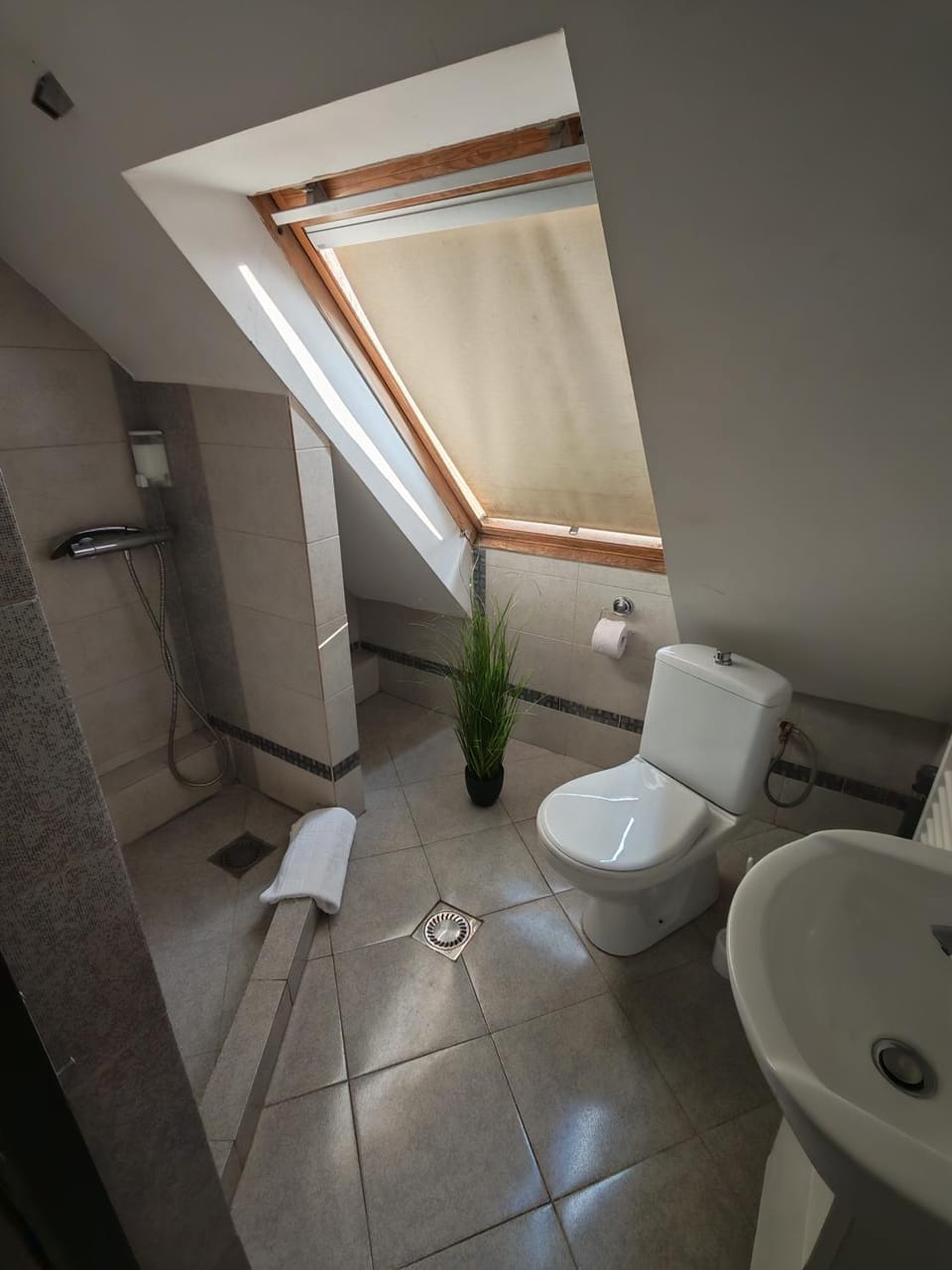 Toilet, Bathroom