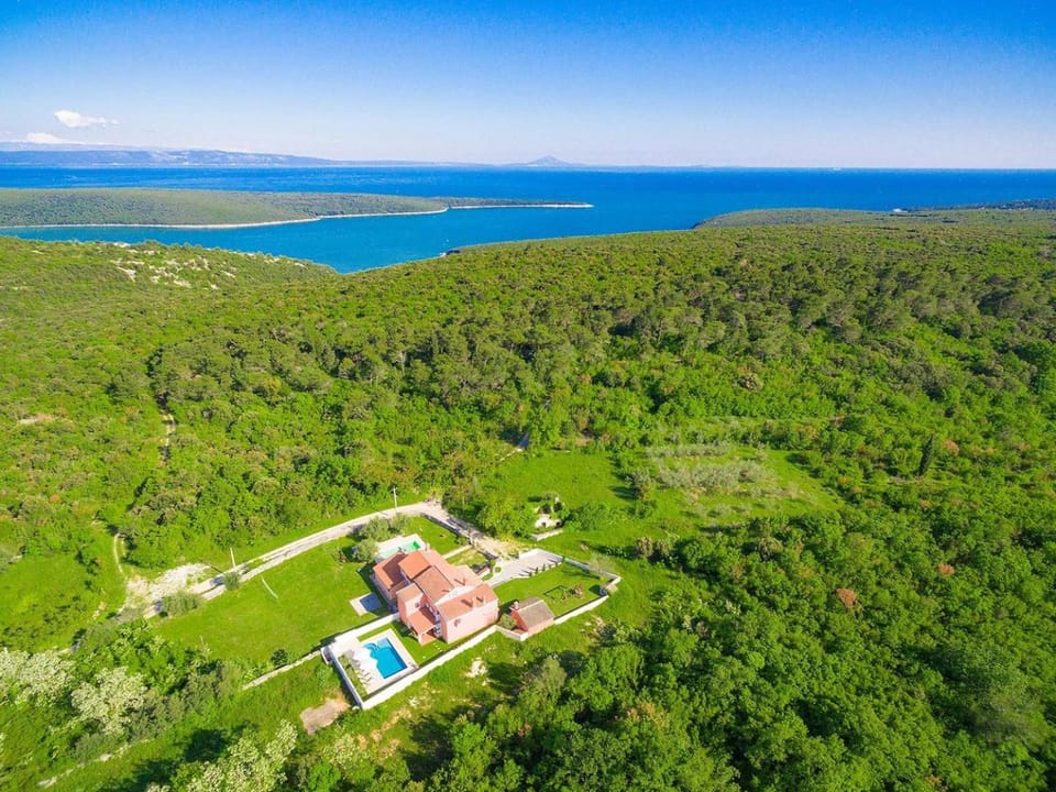 Villa Prisedi Villa in Istria County