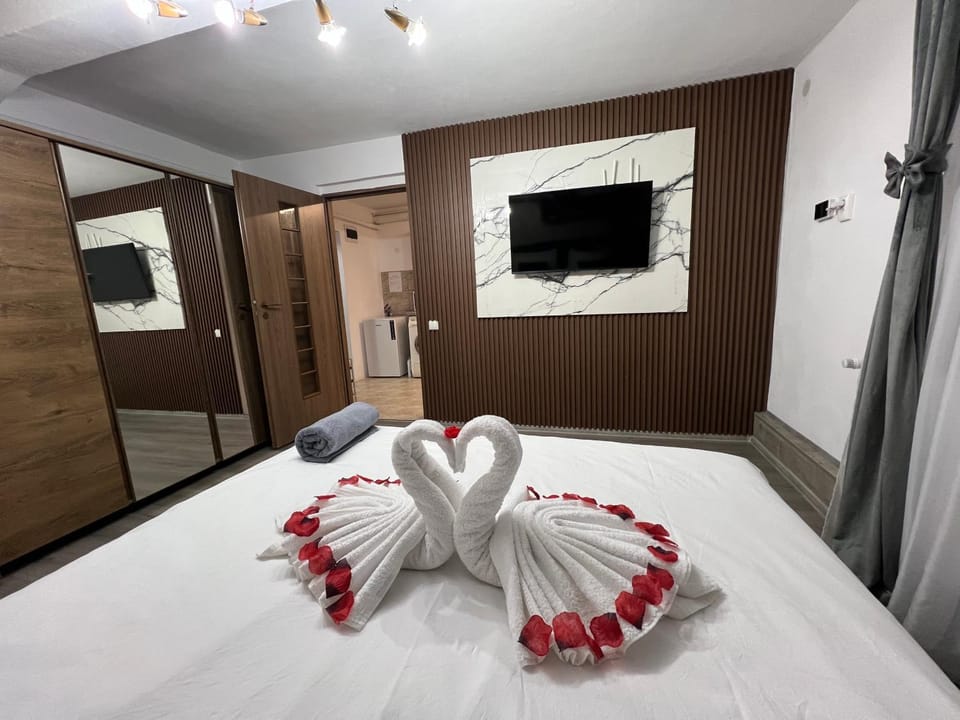 Studio Anca-old town Sibiu Apartment in Sibiu