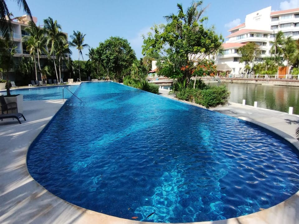 Day, Pool view, Swimming pool