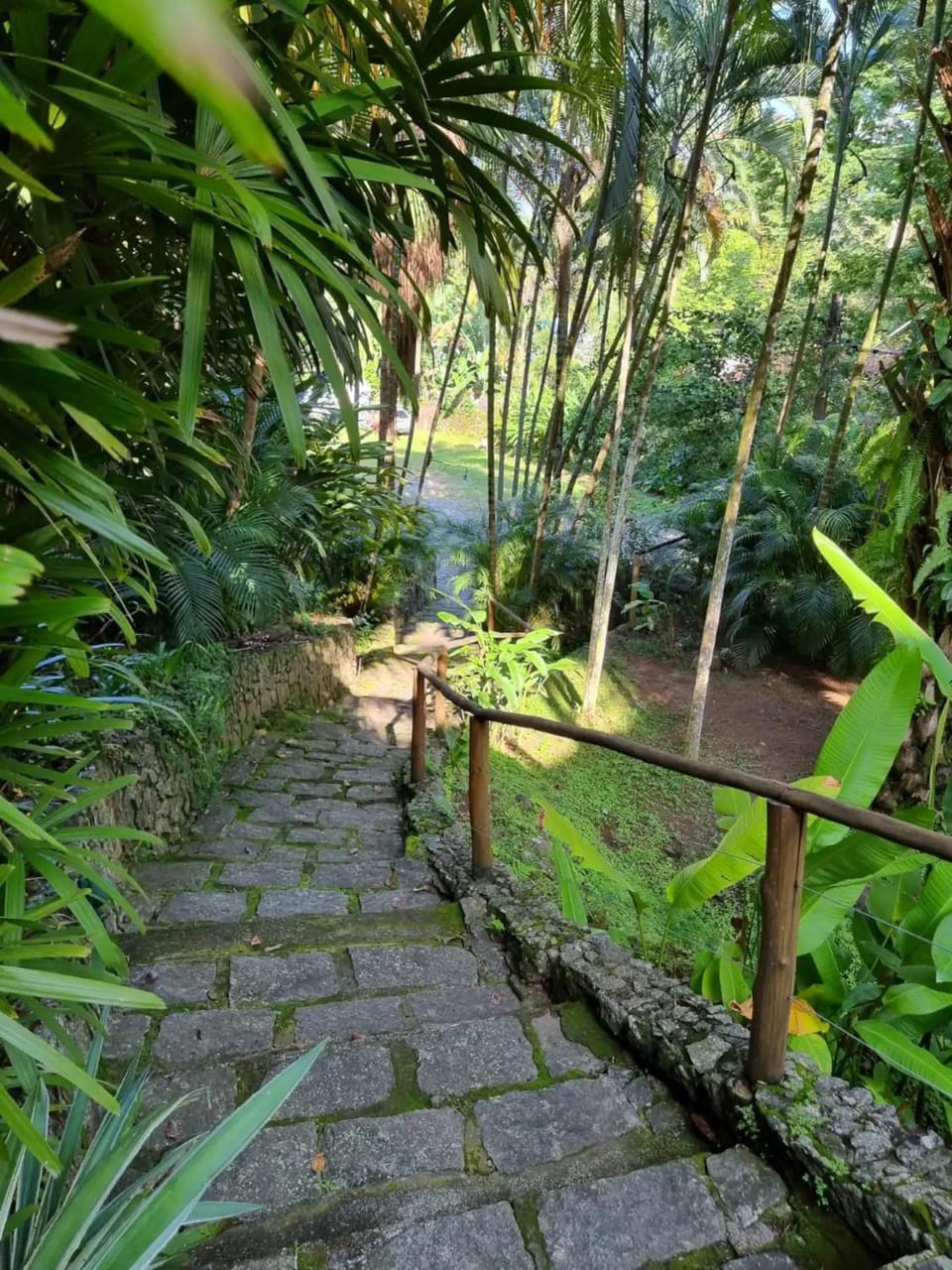 Spring, Day, Natural landscape, Garden, Garden view
