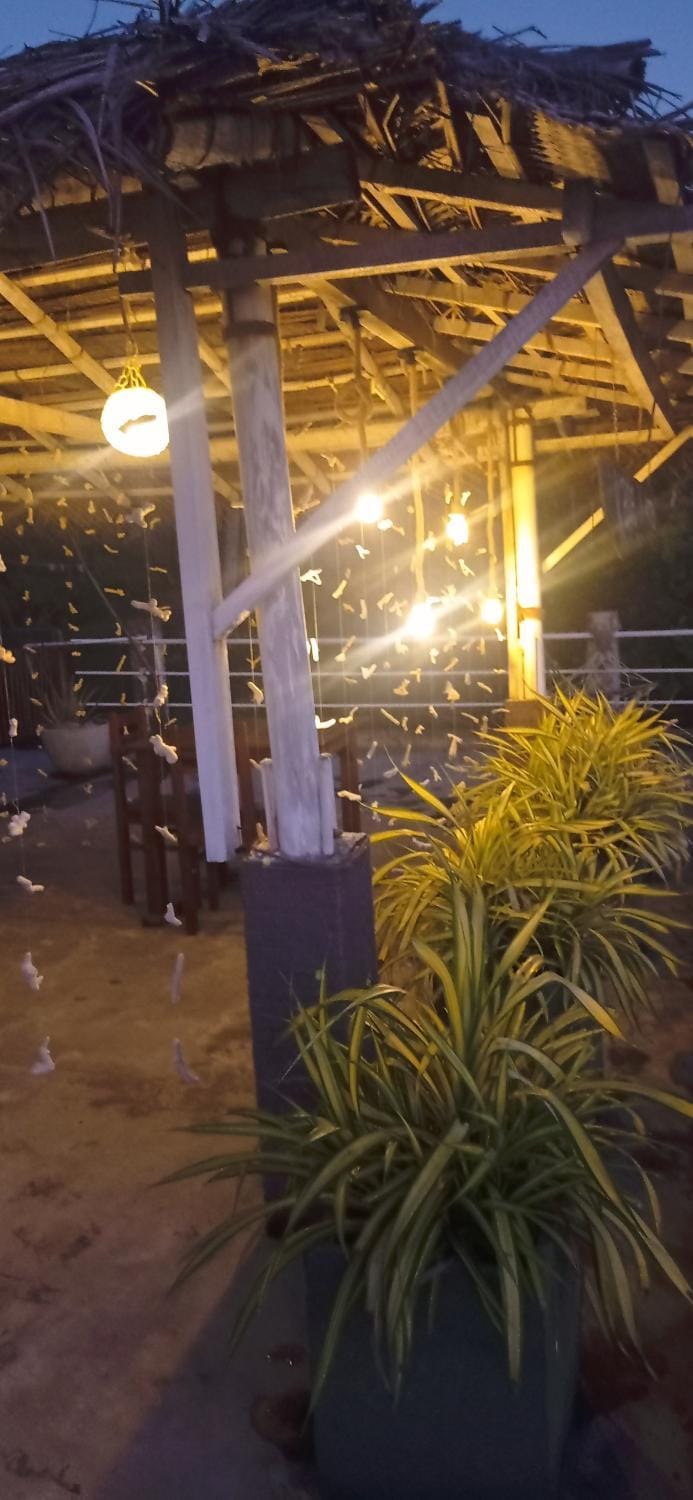 White Surfing Beach Resort Resort in Southern Province