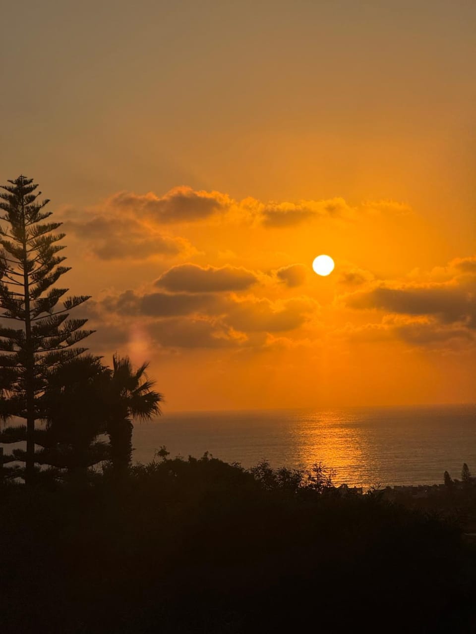 Arting Sea-A Dog friendly house House in Paphos