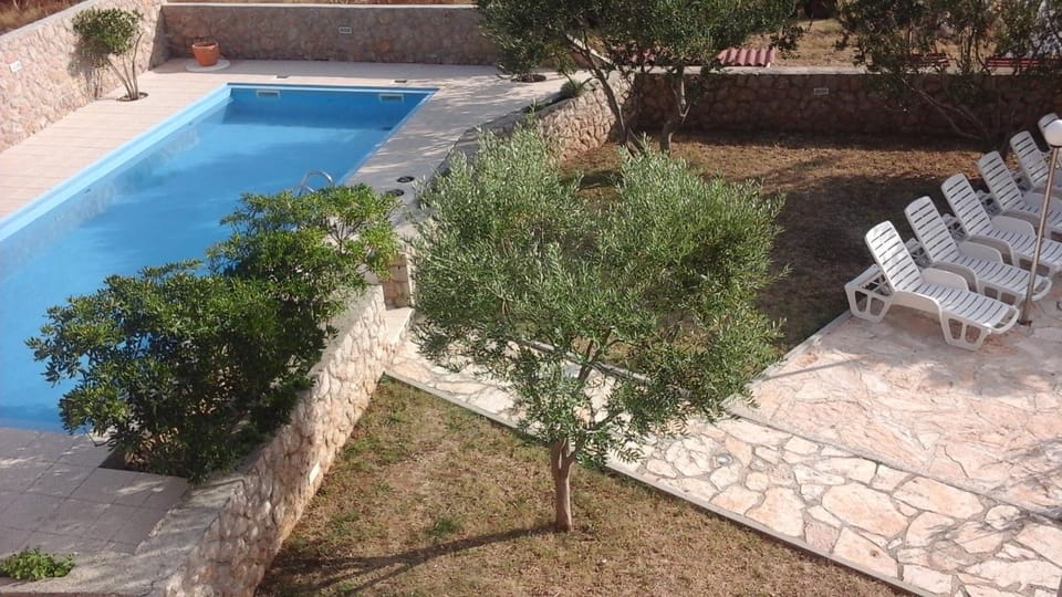 Swimming pool, Swimming pool