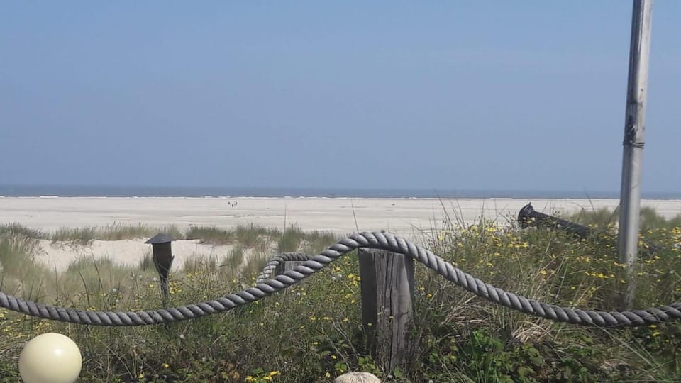 Kiek mol wedder in Apartment in Borkum