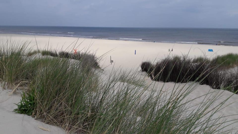 Kiek mol wedder in Apartment in Borkum
