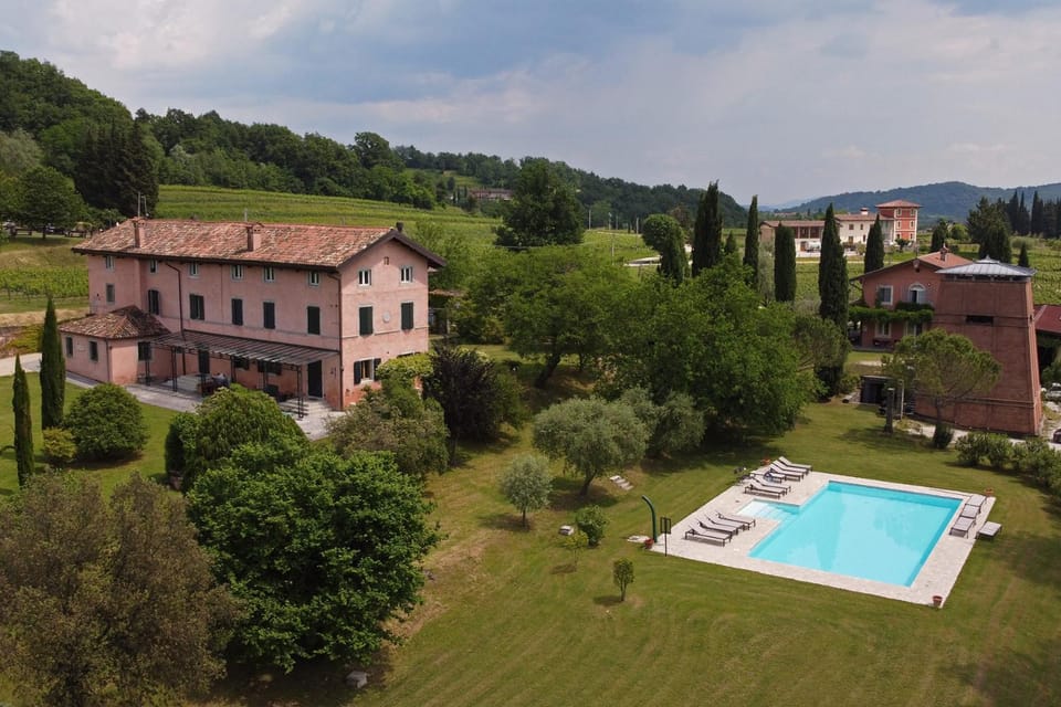 Garden, Garden view, Pool view, Swimming pool, Swimming pool, sunbed