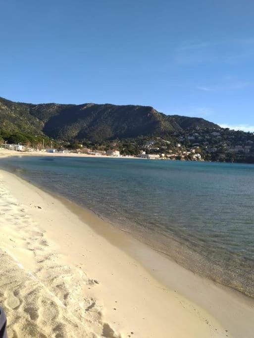 A few steps from the beach, very comfortable Apartment in Le Lavandou