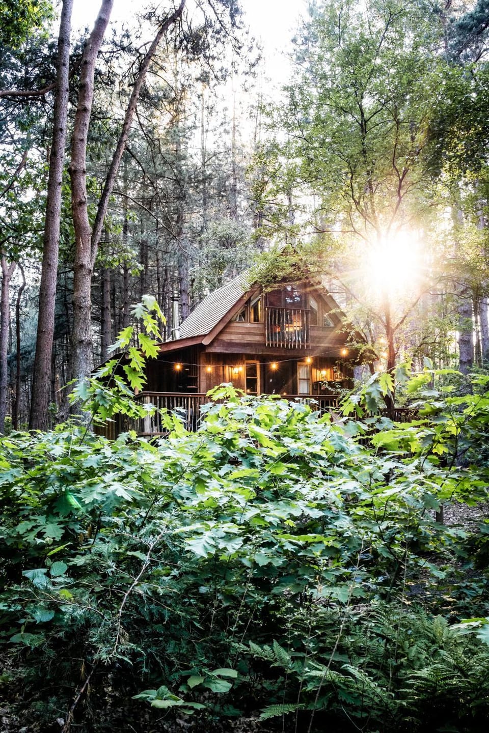 Property building, Natural landscape, Garden, Garden view