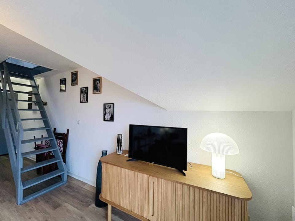 TV and multimedia