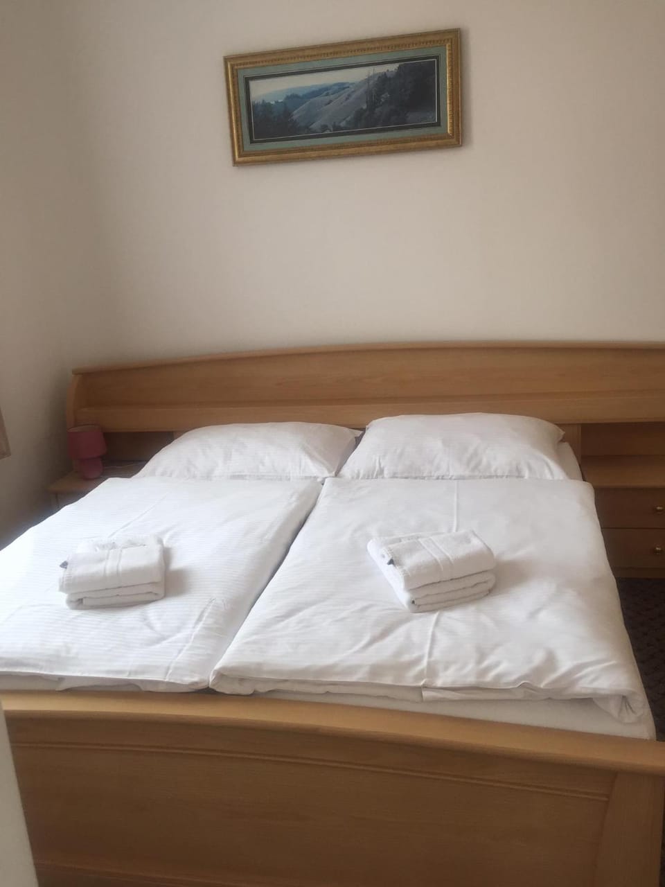 Penzion Eška s Pivovarem MJ Bed and Breakfast in Czechia