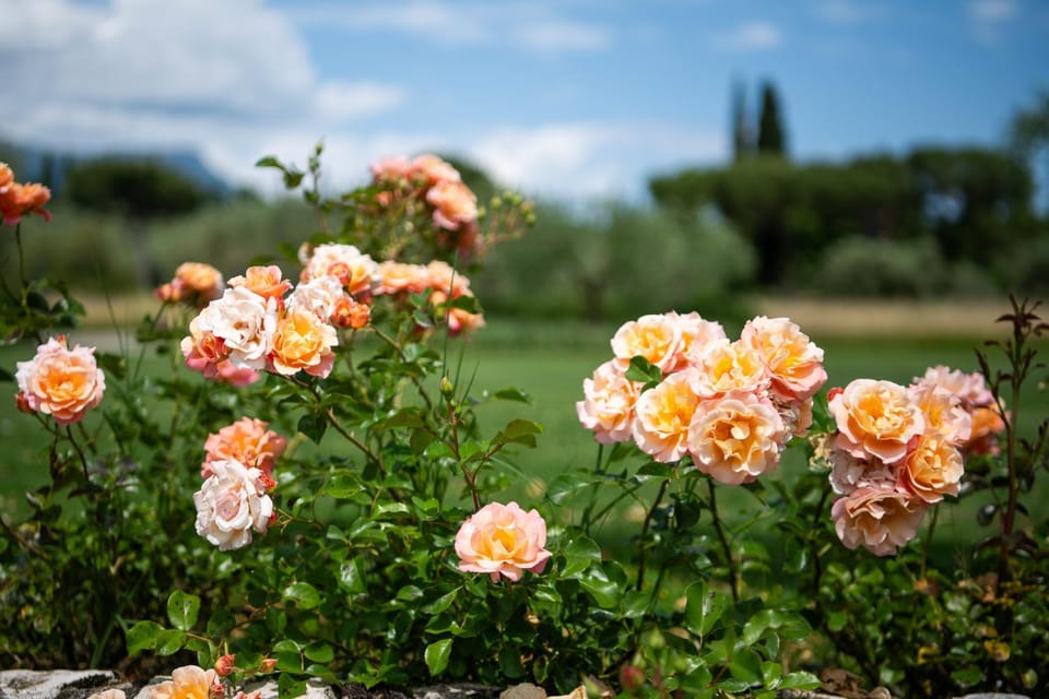 Relais de Charme le Videlle Country House in Lake Garda