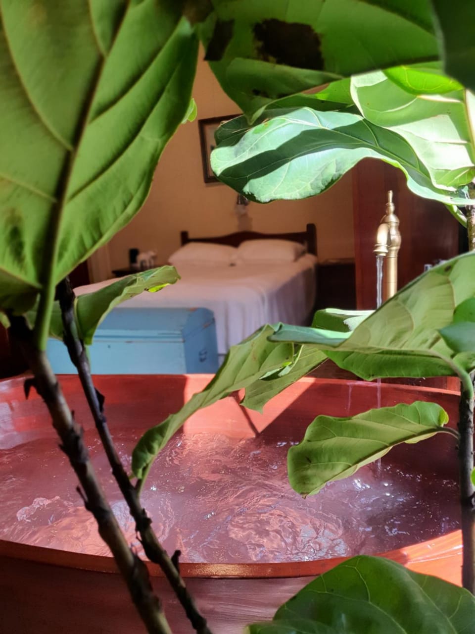 Rancho do Vale - Vale Veneto Chalet in State of Rio Grande do Sul