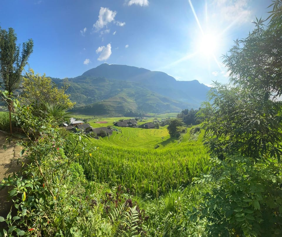 Mountain view