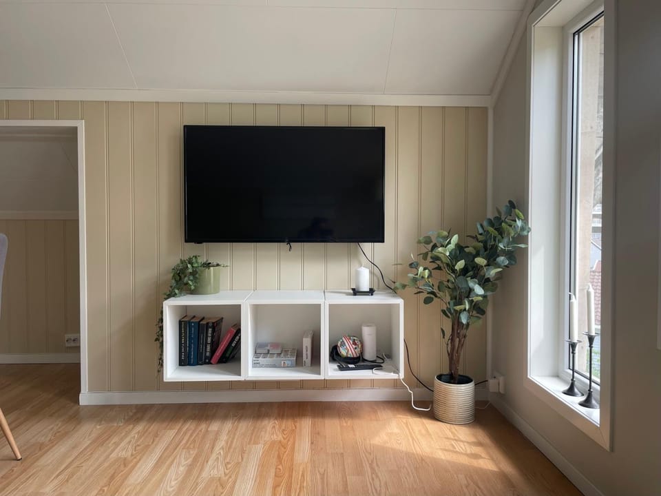 TV and multimedia