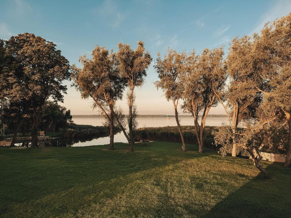 Garden, Garden view, Lake view