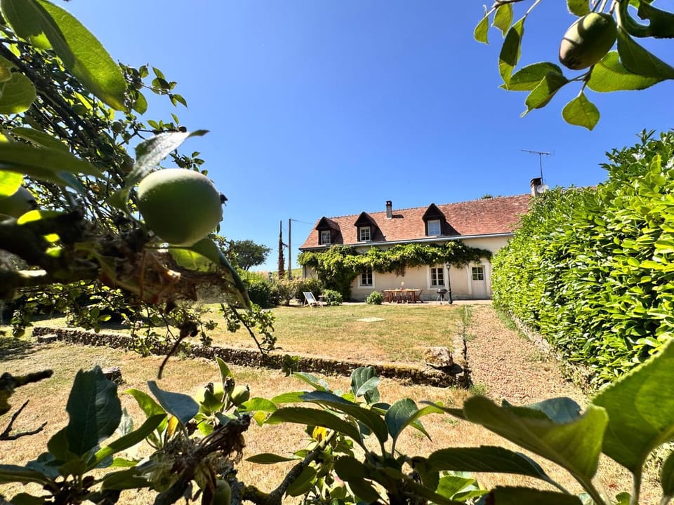 Garden, Garden view