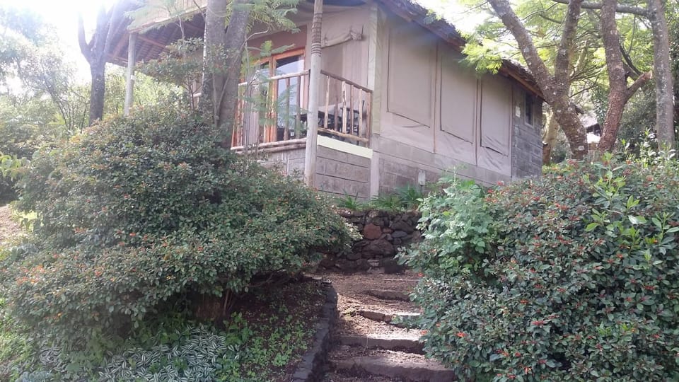 Facade/entrance, Garden