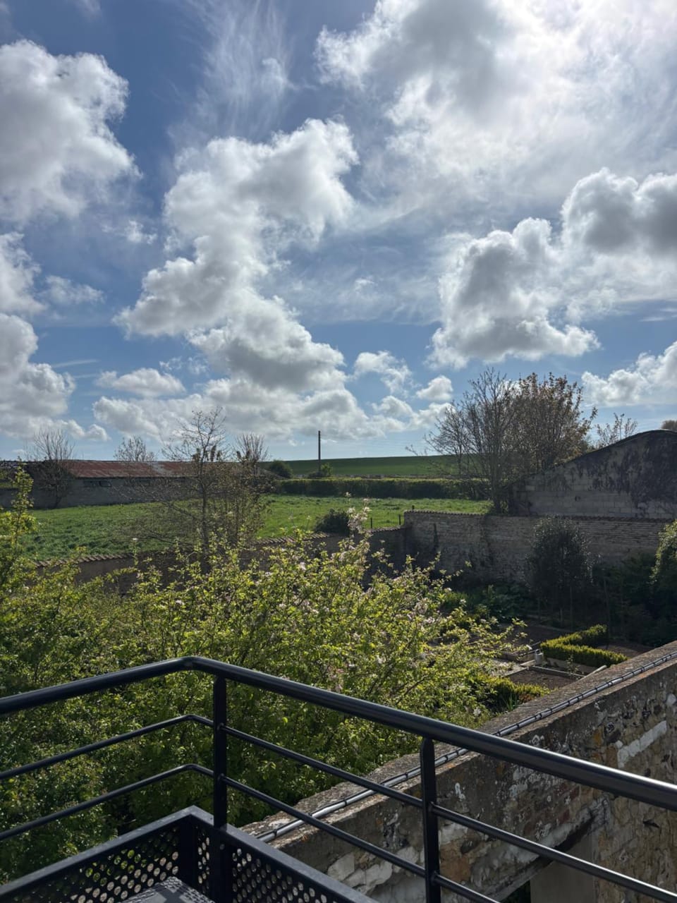 Garden view