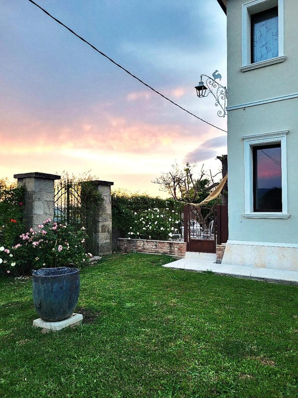 Garden view