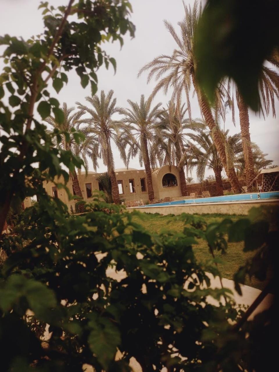 Garden view