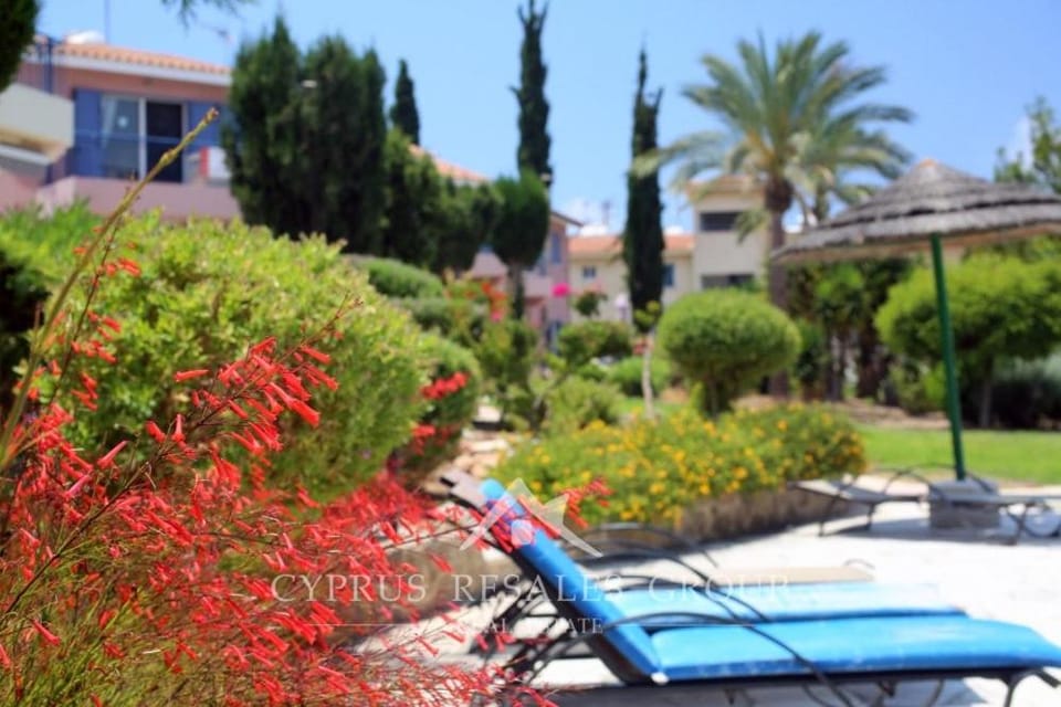 Spring, Garden, Garden view, sunbed