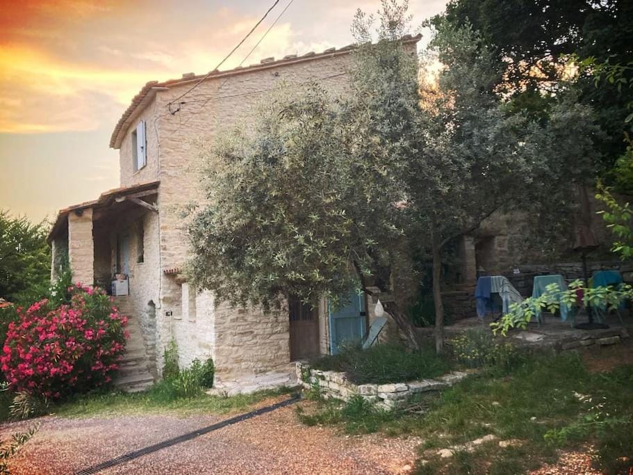Cute stone cottage in Provence House in Provence-Alpes-Côte d'Azur