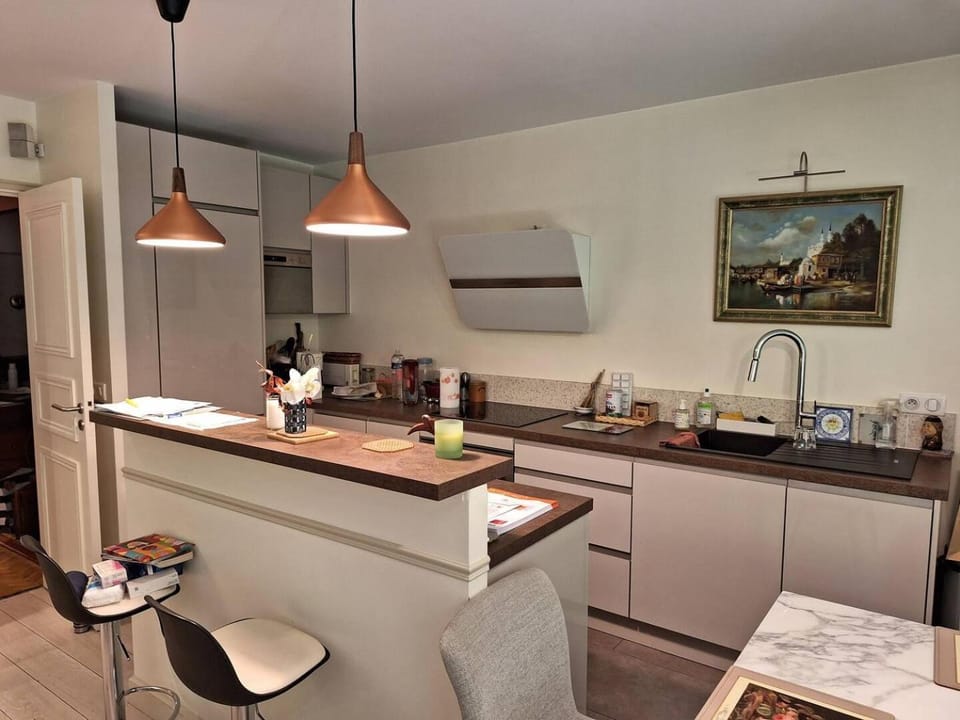 Salle - KP - Appartement avec jardin - Paris 6ème Apartment in Paris