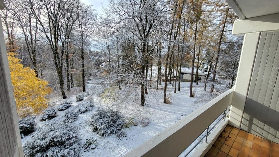Natural landscape, Winter